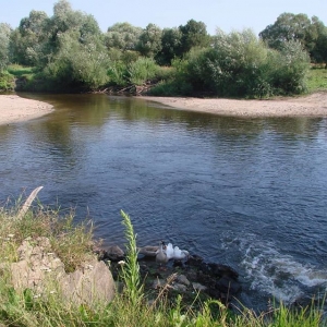 Керівництво